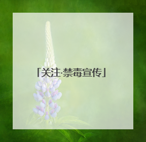 关注·禁毒宣传